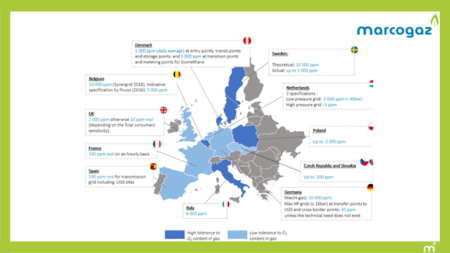 Biomethane Acceptance in Underground Gas Storage Facilities