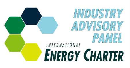 International Energy Charter Industry Advisory Panel