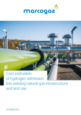 Cost estimation of hydrogen admission into existing natural gas infrastructure and end use