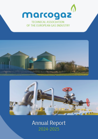 MARCOGAZ Annual Report 2024-2025